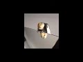 Law And Order Bird 