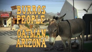 The Burros & People of Oatman, Arizona