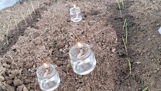 Very simple and inexpensive heating in a greenhouse with your own hands from scrap materials