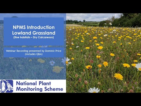 Introduction to NPMS Lowland Grassland - Dry Calcareous Webinar Recording