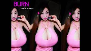 Zebravox - Burn - Ou Xiaoyou