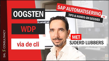 Oogsten sapinst parameters (SAP Automatisering)