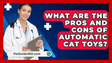 What Are The Pros And Cons Of Automatic Cat Toys? - PetGuide360.com