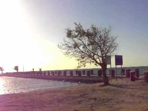 بترو رابغ 1