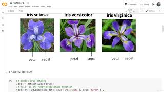 EDA on Iris Dataset screenshot 5