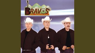 Video thumbnail of "Los Bravos De Sinaloa - Libro Abierto"