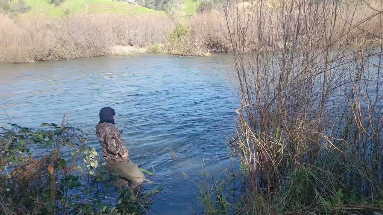Steelhead fishing in January 2026 at A.R