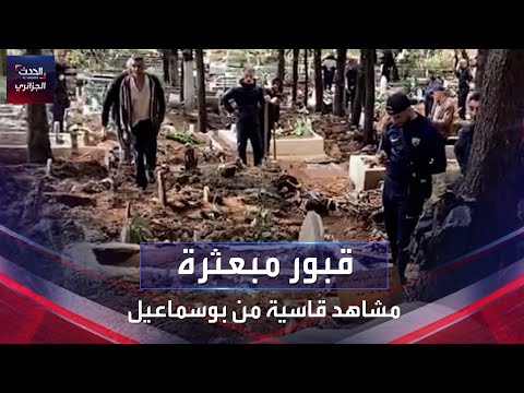 فيديو: هل بوهانون تجد مي؟