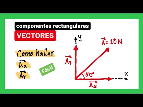 Video: ¿Cuántos elementos pueden contener los vectores?