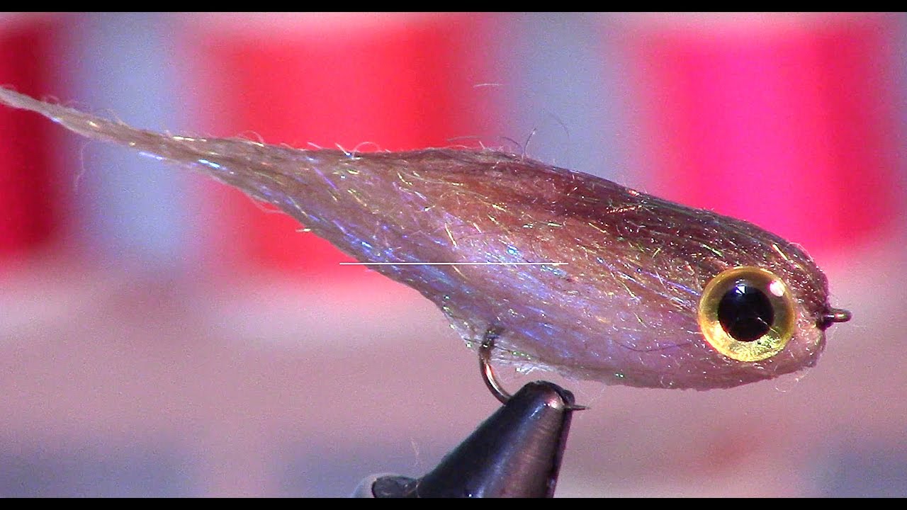 Little Minnow Fry - Underwater Footage! - Small streamer - fly tying  tutorial 