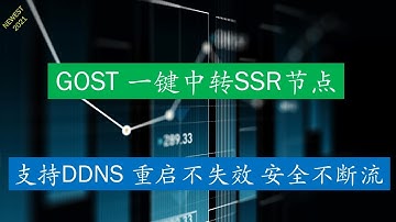 2021年谷歌云GOST中转SSR节点搭建教程|一键GOST中转搭建 支持DDNS 重启不失效 安全不断流 支持负载均衡 转发CDN自选节点