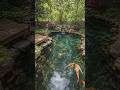 “Ultimate Garden Upgrade🌿”#construction#ai#shorts#viral