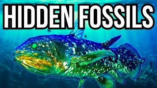5 Fossil Animals That Were Thought To Be Extinct Before They Were Found Alive
