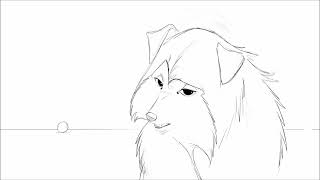 FETCH. a small sketch animation :-) by Amelia B 261,582 views 2 years ago 17 seconds