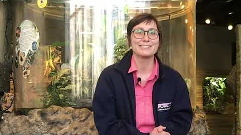 Detroit Zoo | Celebrating Science: Dr. Ruth Marcec...