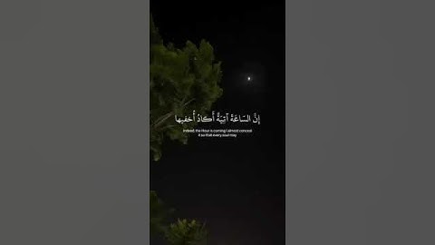 وَأَنَا اخْتَرْتُكَ فَاسْتَمِعْ لِمَا يُوحَى بصوت القارئ شريف مصطفى حالات واتس اب دينية