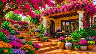 Flower Garden Heaven 🌸 Relaxing Walk Through a Stunning Mountain