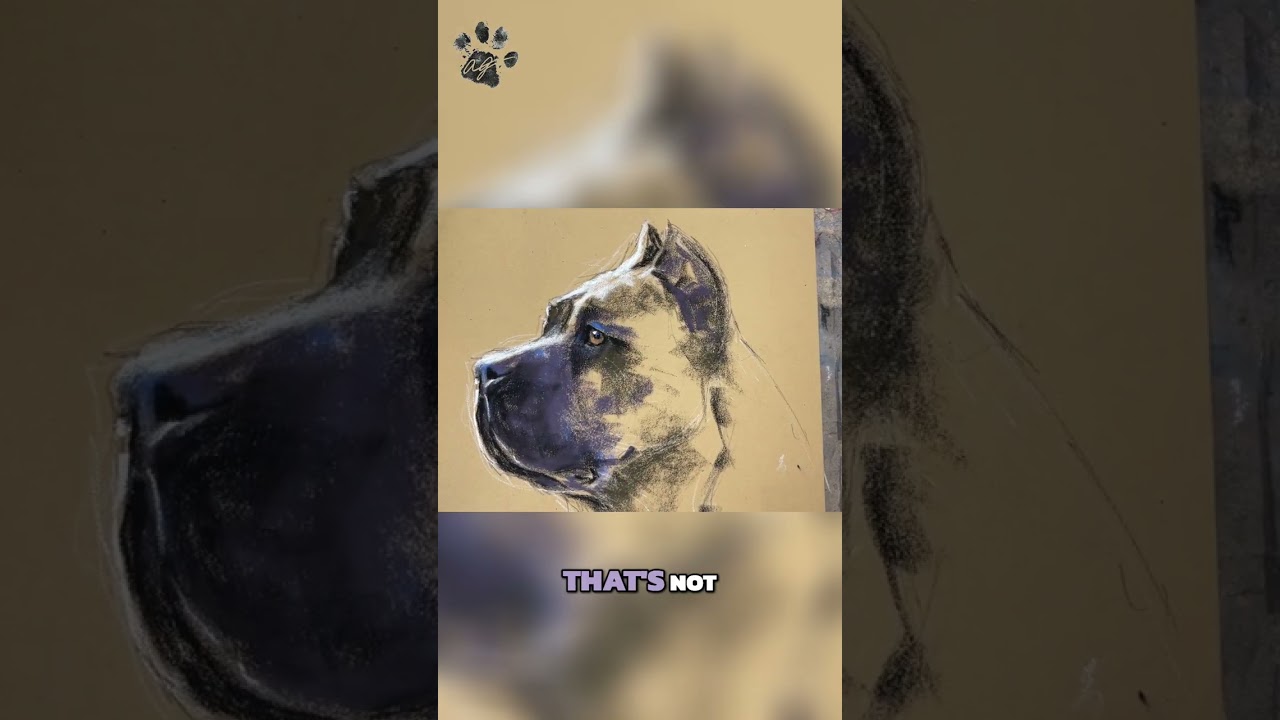 Artistic Interpretation: Making Art Better Than Reality