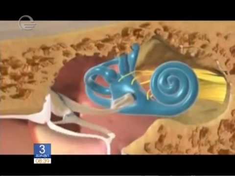 დილის კონფერენცია მიშა ხუჯაძესთან ერთად