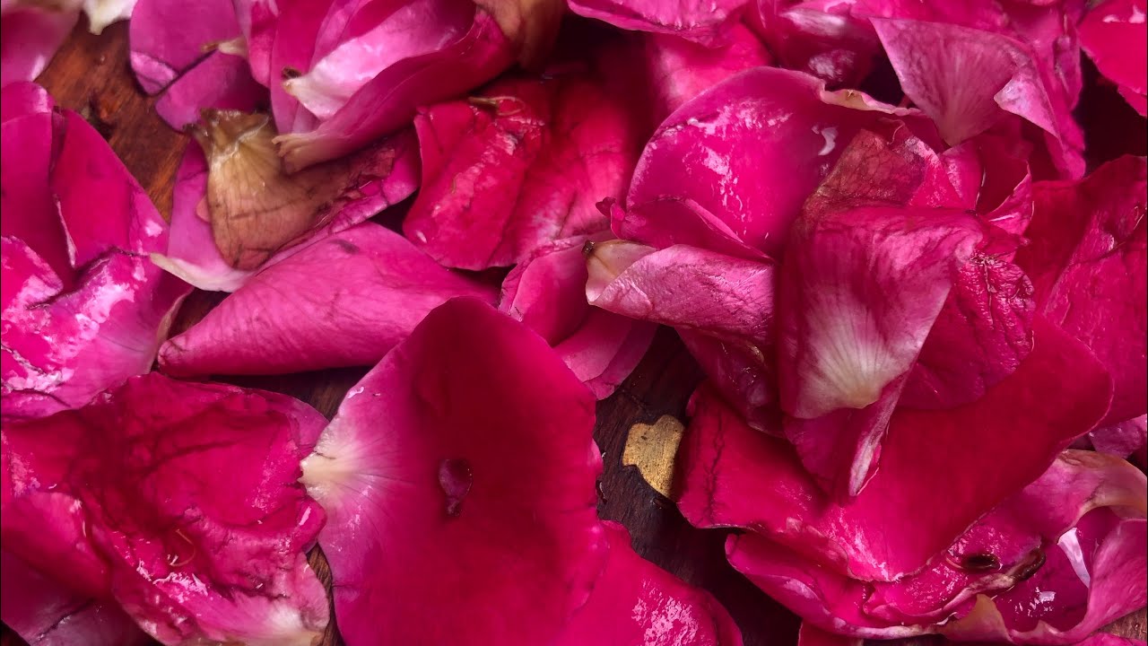 Rose Water Home made Rose Water How to make rose water at home