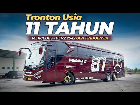 CIRI-CIRI ULAR JELMAAN JIN - EKSKLUSIF BERSAMA PANJI PETUALANG