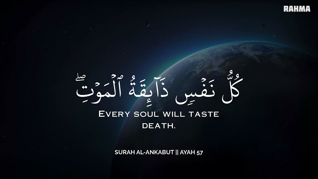 رح سمعك وقلبك بالقرآن❤️🎧 وأستمع لتلاوة هادئه بصوت محمد هشام | راحة نفسية😌 | Mohamed Hesham