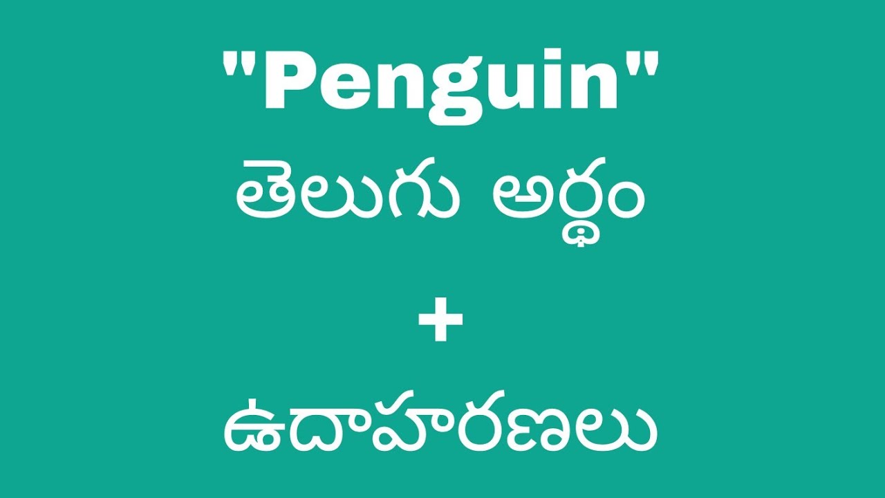Penguin Meaning In Telugu With Examples Penguin penguin-meaning-in-telugu-with-examples-penguin
