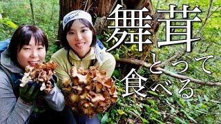 山で舞茸を採って食べるよ【天然舞茸】