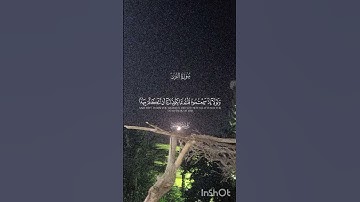 احترم القرآن الكريم #سورة_النور #ماهر_المعيقلي #اجر_لي_ولكم #quran #المصحف #لايك #قران_كريم #اكسبلور