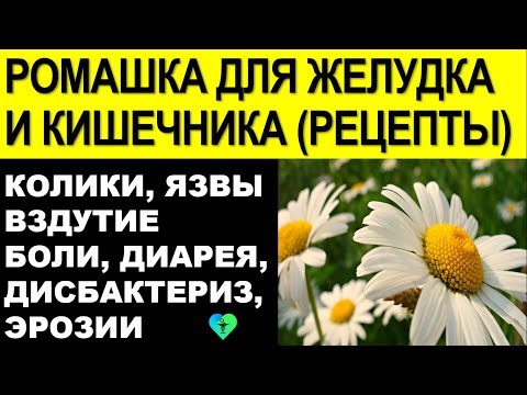 Ромашка для Желудка и Кишечника. Как пить (рецепты и методики лечения)