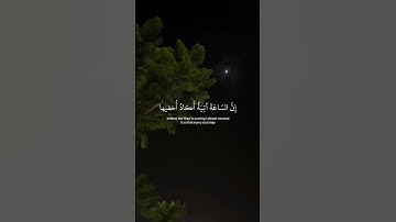 ﴿ وانَا أختَرتُك فأستَمِع لمِا يُوحى ﴾ سوره طه، شريف مصطفى #ارح_قلبك #قرآن #قران_كريم #قرآن #alafasy