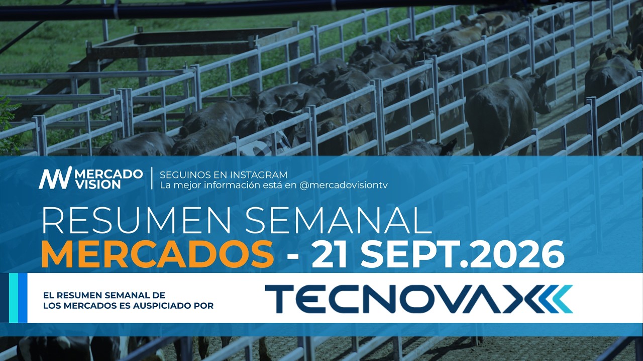 📊💰 Resumen Semanal de los Mercados | 14 al 19 de SEPTIEMBRE 2026