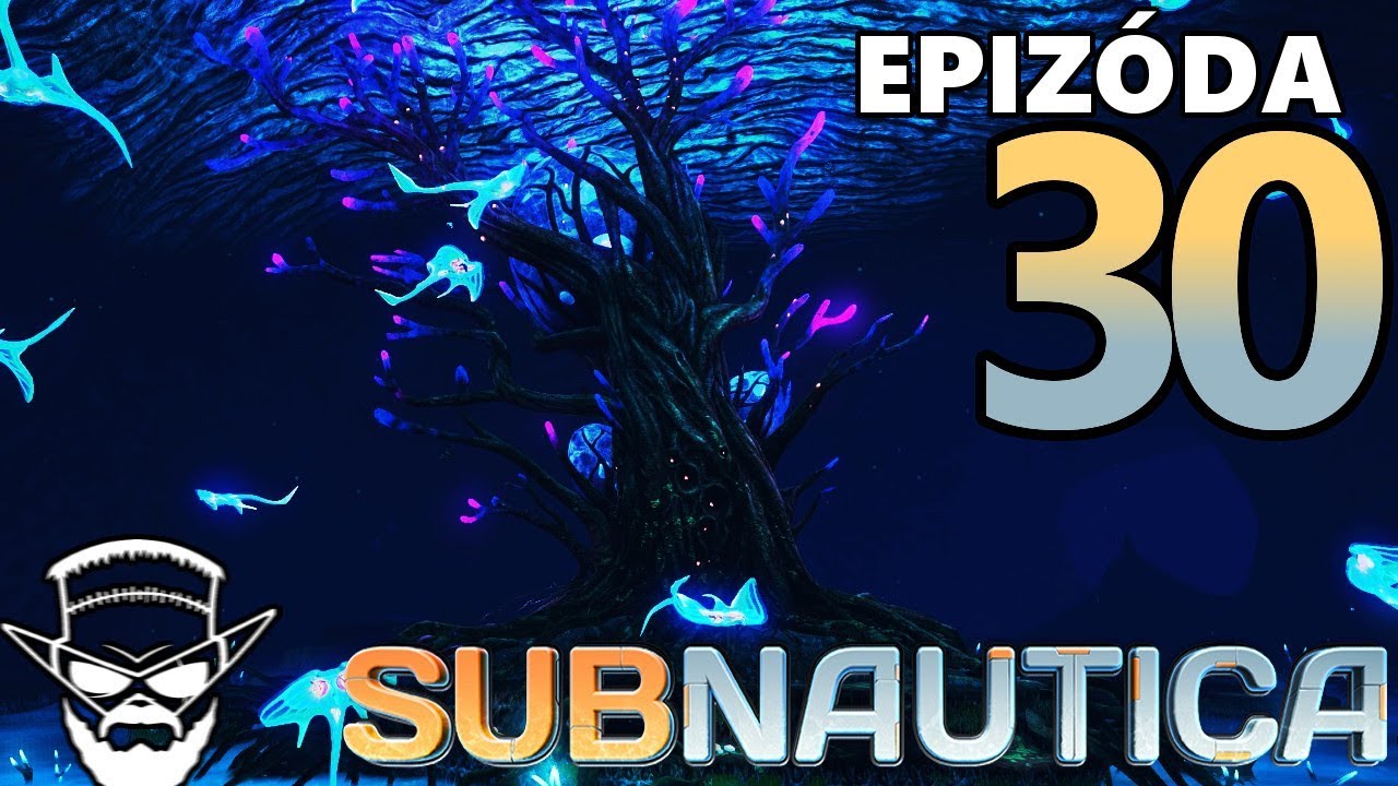STROM DUCHOV ! - Subnautica / 1080p 60fps / CZ/SK Lets Play / # 30 lets play a little game