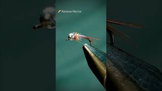 Tying the Rainbow Warrior