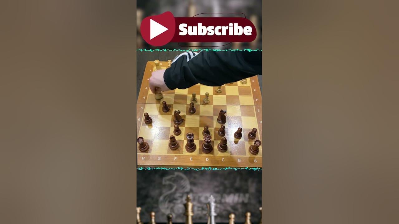 Профиль Новодворская Дмитрия шахматы ческом