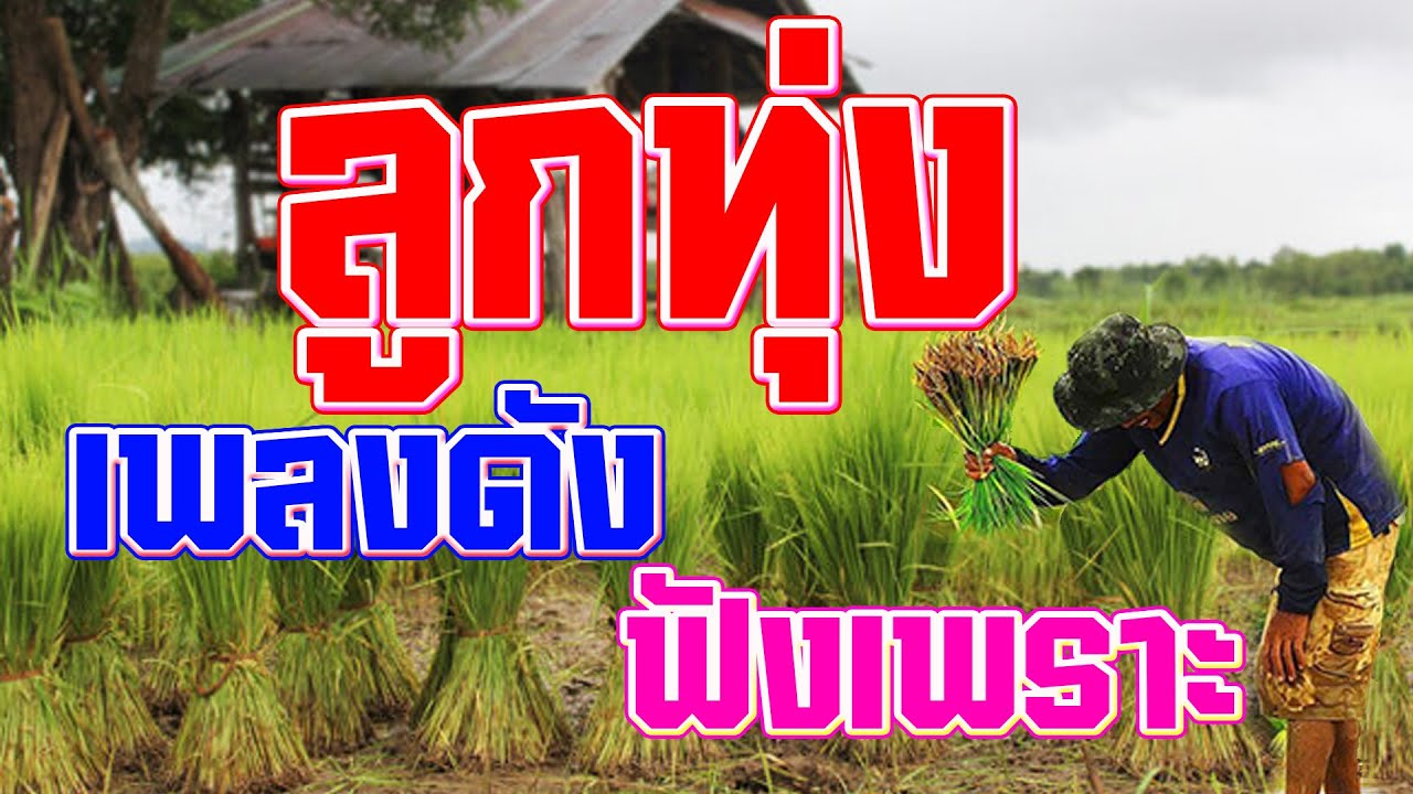 รวมเพลงลูกทุ่งเก่าฟังเพราะฟังเพลิน