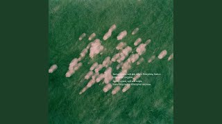 Soft Weather screenshot 4