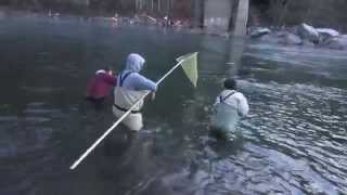Sandy River Smelt  fishing 2019