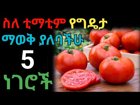 የቲማቲም ተአምረኛ ጥቅሞች Dryonas