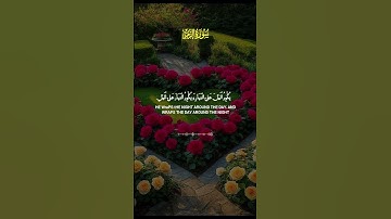 سورة الزمر #المصحف #اكسبلور #تيك_توك