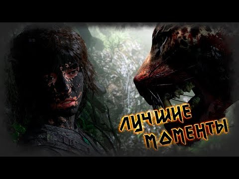 Video: Vývojár Tomb Raider Downplatl QTE