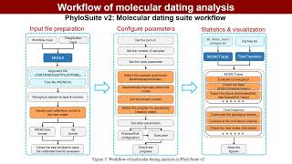 iMeta | PhyloSuite v2: all-in-one visual suite for molecular dating analysis and advanced features