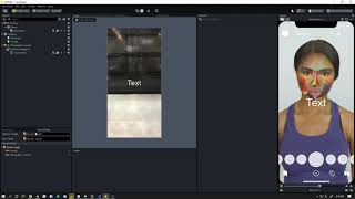 Lens Studio Hide Custom UI/Images/Etc after Recording (No Scripting Needed) screenshot 2
