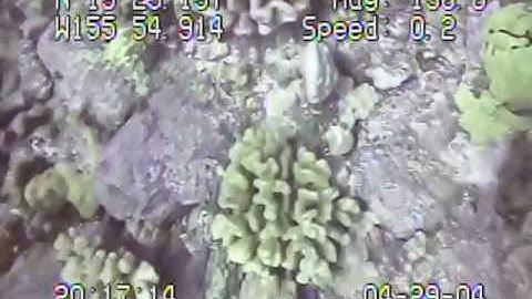 a204hw_tape18l_29apr04e.mp4