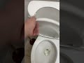 2005 AS Compact El Spacesaver Toilet at Fashion Nails in Pasco WA 1931 W Sylvester Street