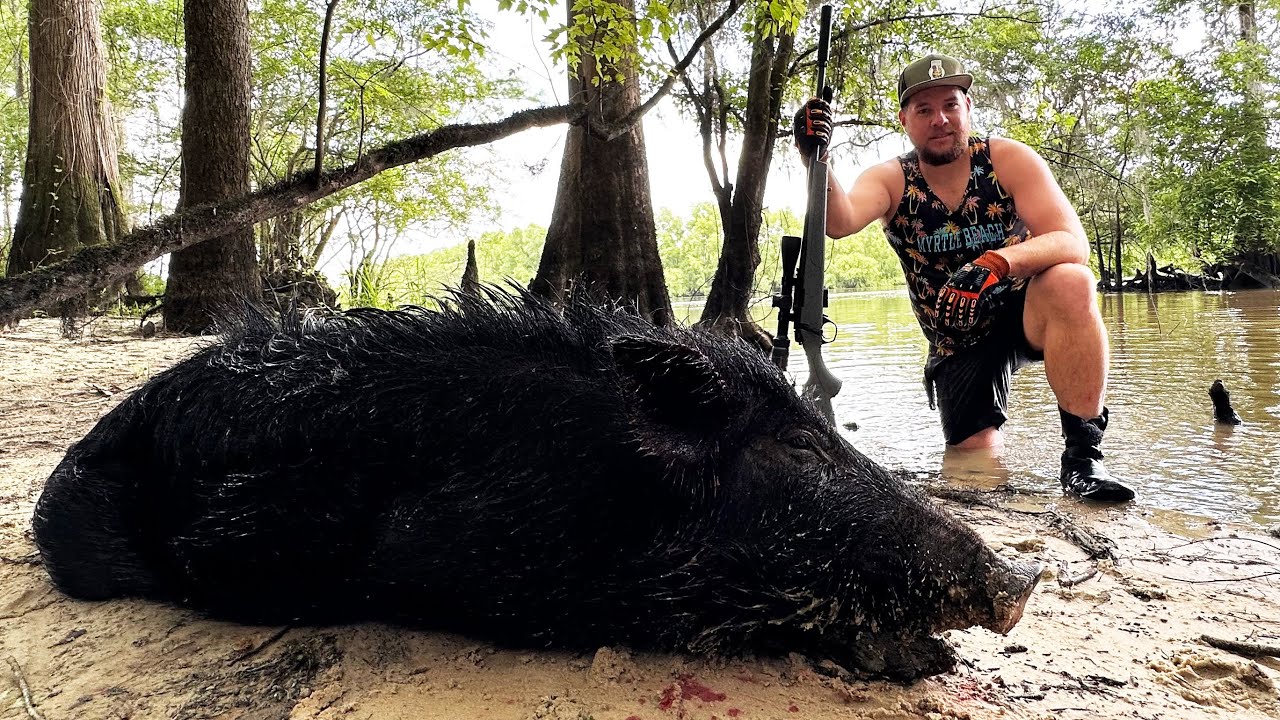 Glad we had a gun! Unexpected Surprise! Big Hog Down on our Georgia Noodling Adventure! (State #5)