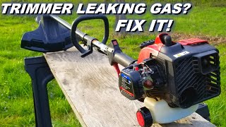 Fixing a Murray string trimmer that leaks gas