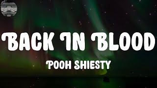 Pooh Shiesty - Back In Blood (Lyrics)