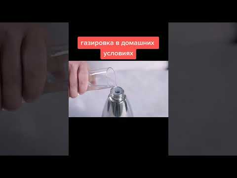 газировка в домашних