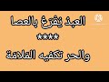 العبد يقرع بالعصا و الحر تكفيه الاشارة بتدكصهك الحر بتدكصهك العبد بتدكصهك
